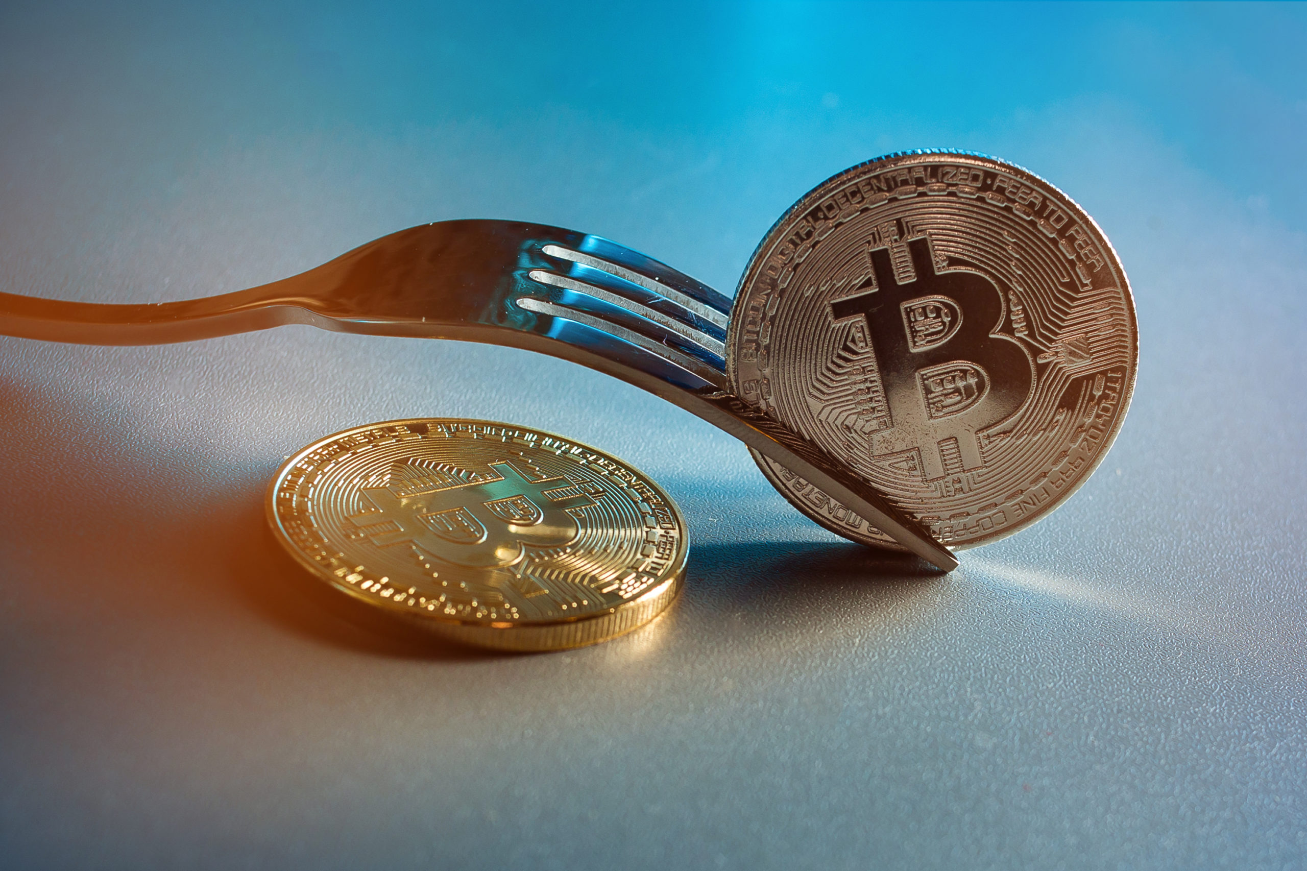What You Need to Know About the Bitcoin Cash Hard Fork | Xcoins