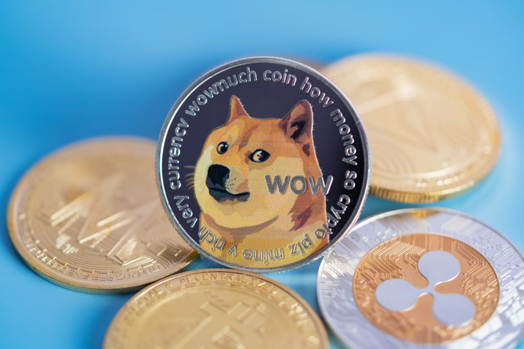 doge coin among cryptocurrency coins