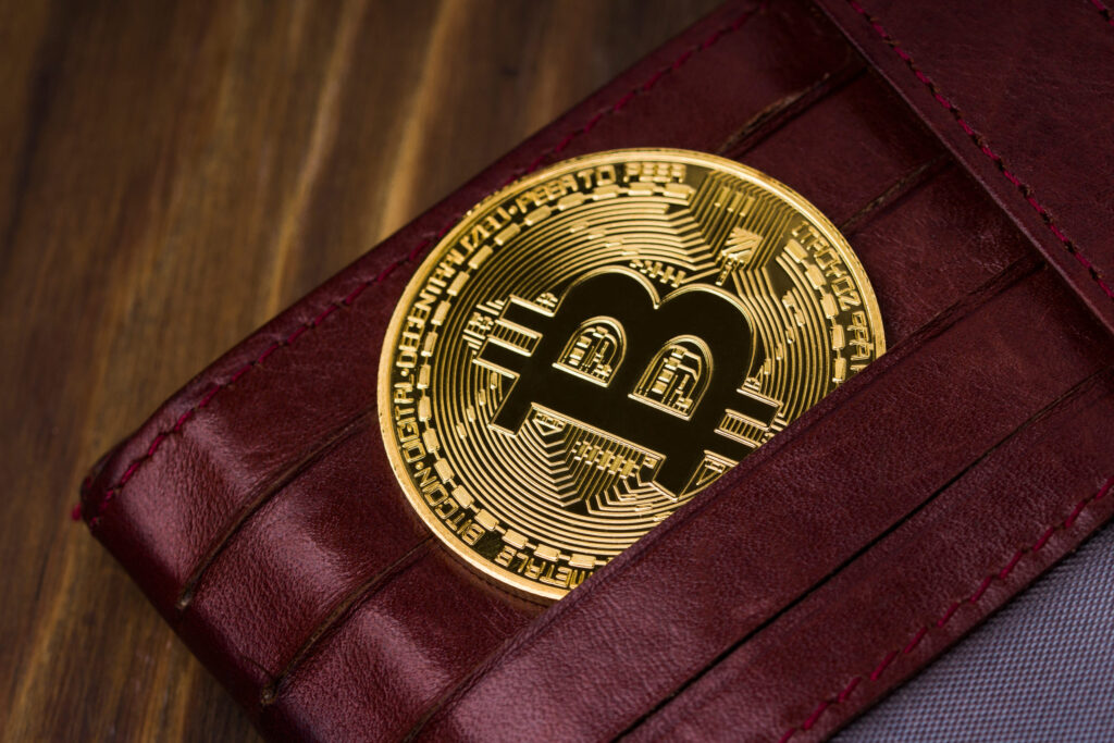 Bitcoin Gold in a Leather Wallet