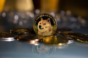 Dogecoin sitting upright on a bed of coins