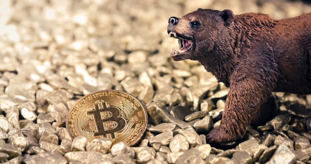 a bear with mouth open on a gold ground with a Bitcoin next to him