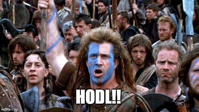 Meme de un espartano armado con la palabra "HODL!!"