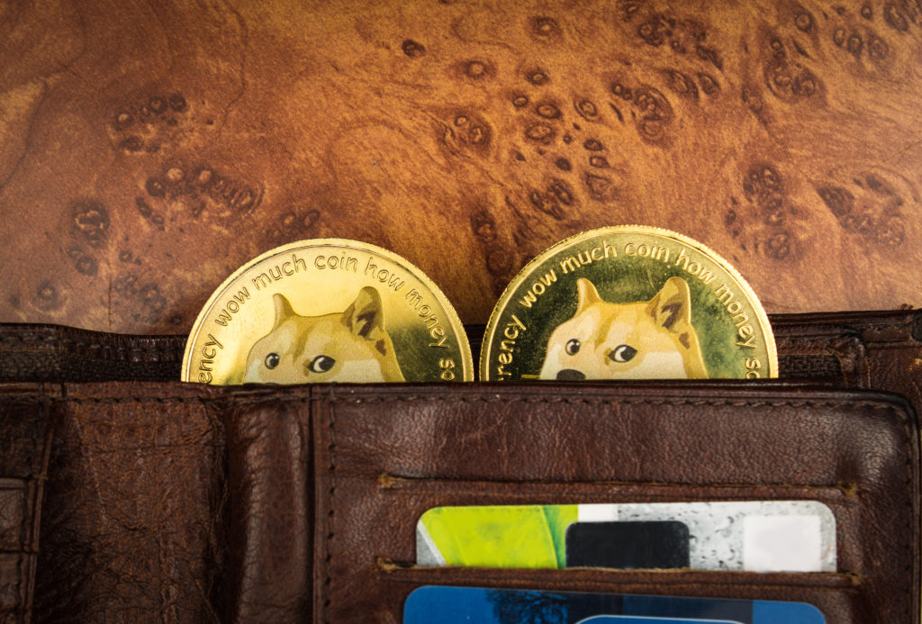 2 dogecoins peeking out of a brown wallet with a credit card slotted in wallet