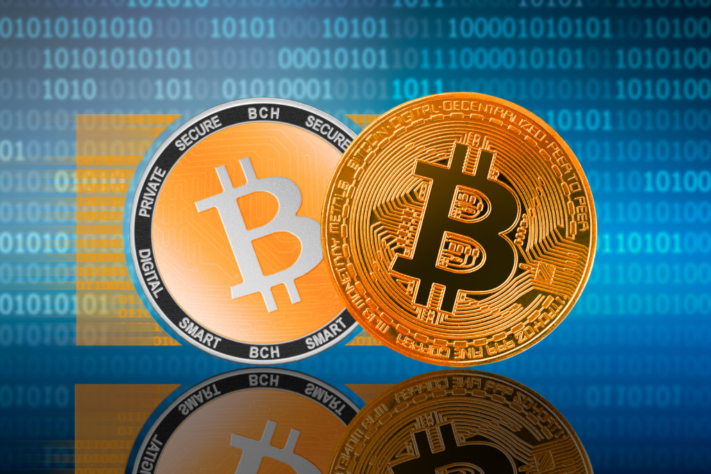 Bitcoin (BTC) coin and Bitcoin Cash (BCH) coins next to each other