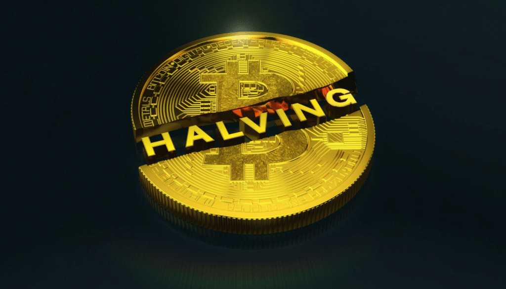 gold bitcoin sliced in half with the word "halbing" in block captitals