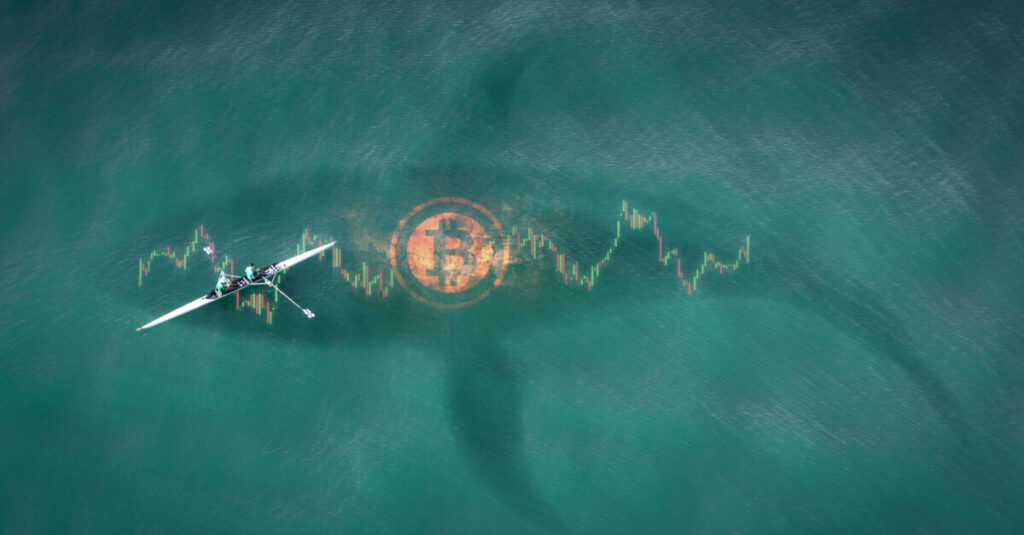 whale under sea with btc stamp on top of price chart