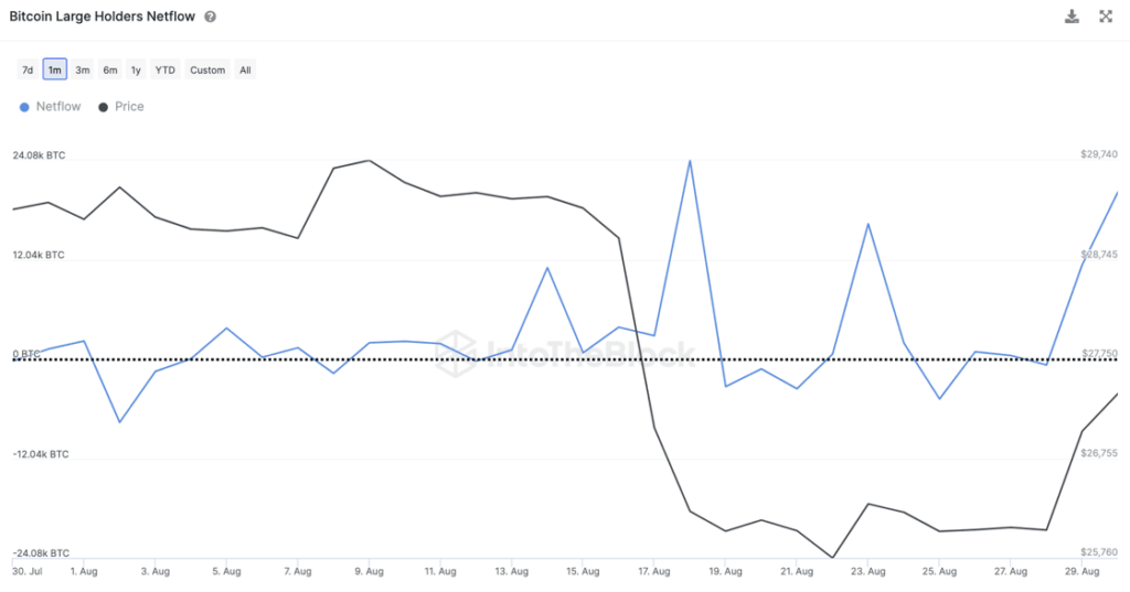 Flujo neto de grandes tenedores de Bitcoin Flujo neto de grandes tenedores de Bitcoin 